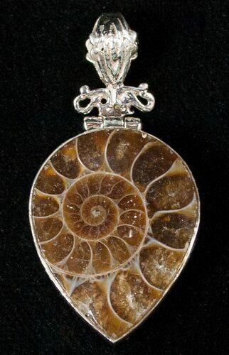 Fossil Ammonite Pendant - Sterling Silver #16548